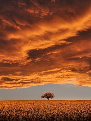 Odporność psychiczna w biznesie